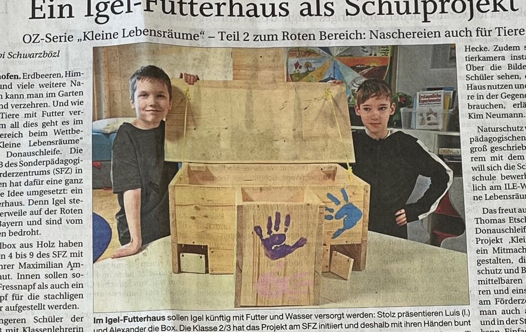 Ein Igel-Futterhaus als Schulprojekt
