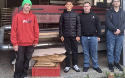 Holz für unsere Werkprojekte