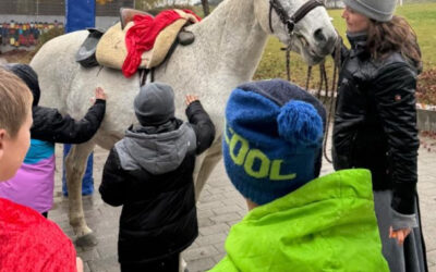 Stimmungsvolle St. Martinsfeier am SFZ Schöllnach