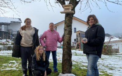 Natur erleben und schützen – Eichhörnchenfutterstationen