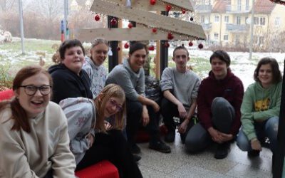 Unsere Christbaumalternative