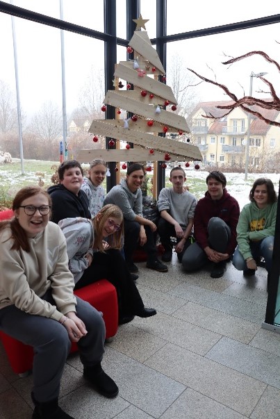 Unsere Christbaumalternative