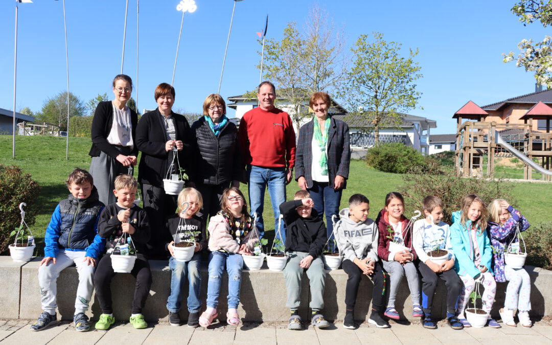 Gartenfreunde des SFZ – Schöllnach-Osterhofen